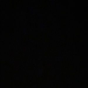 Meet your Posher, Anne